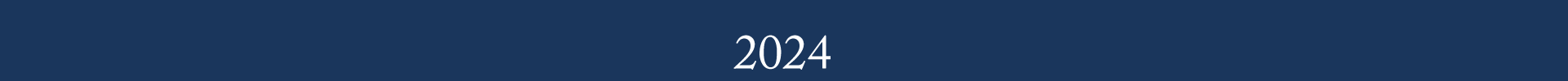 Template Ergebnisse Ponickau 2024
